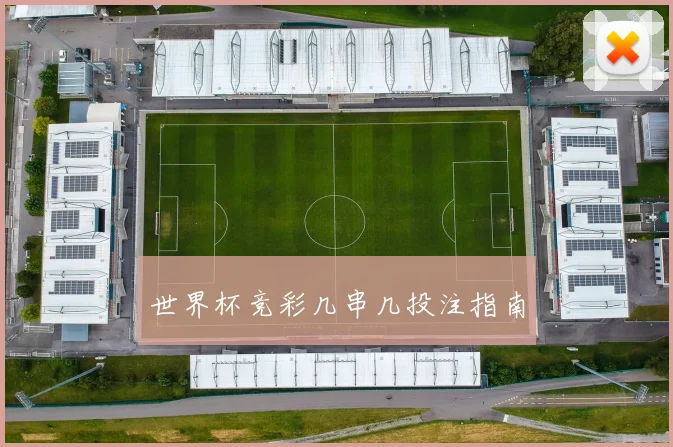 世界杯竞彩几串几投注指南