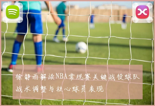 徐静雨解读NBA常规赛关键战役球队战术调整与核心球员表现