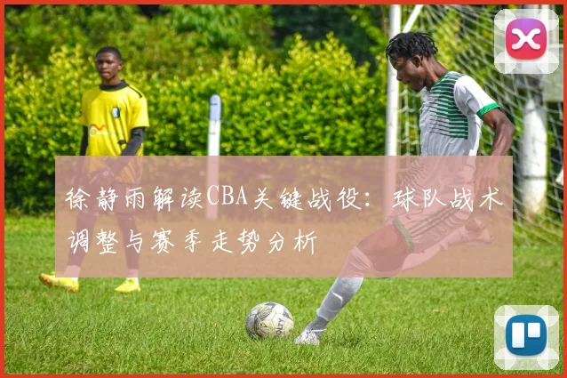 徐静雨解读CBA关键战役:球队战术调整与赛季走势分析