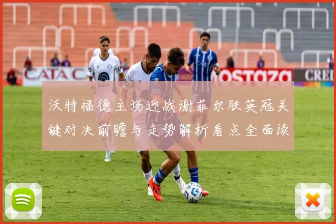 沃特福德主场迎战谢菲尔联英冠关键对决前瞻与走势解析看点全面读