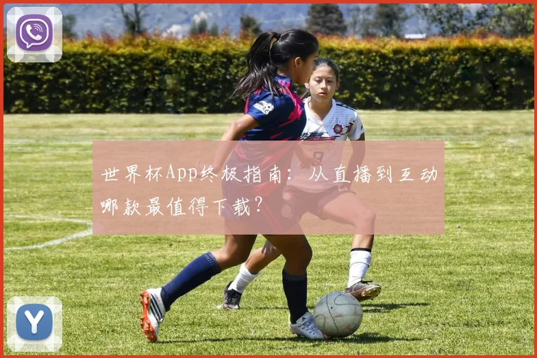 世界杯App终极指南:从直播到互动哪款最值得下载?