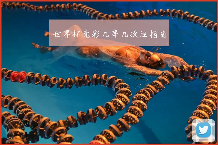世界杯竞彩几串几投注指南
