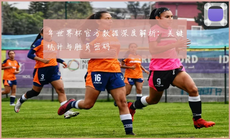 年世界杯官方数据深度解析:关键统计与胜负密码