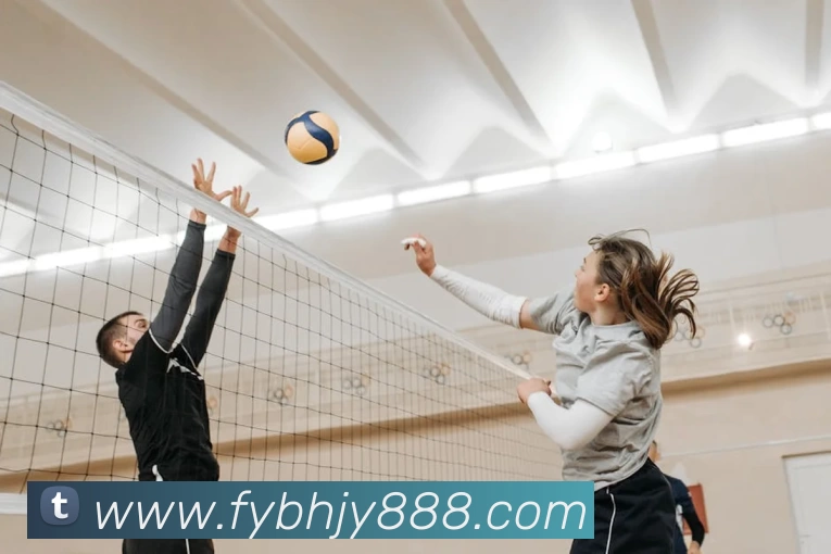 开云体育APP 高清赛事图